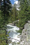 Grand Teton National Park