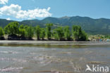 Great Sand Dunes National Park