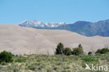 Great Sand Dunes National Park