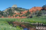 Devils Tower