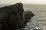 Neist Point Lighthouse