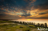 Wadden Sea