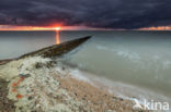 Waddenkust