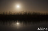 Noordhollands kanaal