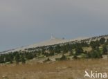 Parc naturel régional du Mont Ventoux