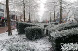 Hoogeveen