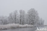 Nieuwkoopse Plassen