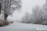 Nieuwkoopse Plassen