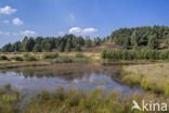 Nationaal Park Hoge Kempen