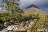 Buachaille Etive Mor