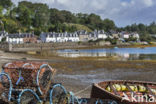 Plockton