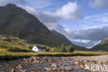 Buachaille Etive Mor