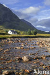 Buachaille Etive Mor