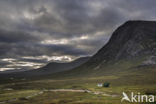 Buachaille Etive Mor