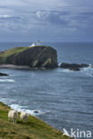 Stoer Head Lighthouse