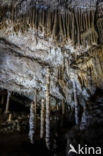 Caves of Han-sur-Lesse