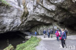 Grotten van Han