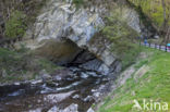 Caves of Han-sur-Lesse