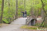 arch bridge