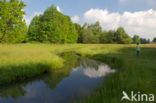 Beekdal Oude Diep Het Drentse Landschap