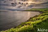 Kimmeridge Bay