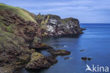 St Abbs Head