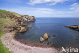 St Abbs Head