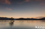 lake Wanaka