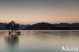 lake Wanaka