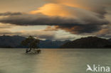 lake Wanaka