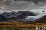 Lake Tekapo