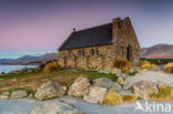 Lake Tekapo