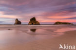 Wharariki Beach