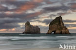 Wharariki Beach