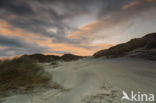 Wharariki Beach