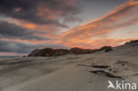 Wharariki Beach