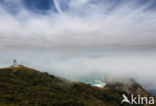 Cape Reinga