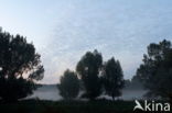 Natuurpark Lelystad