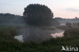 Natuurpark Lelystad