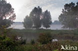 Natuurpark Lelystad