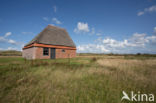 National Park Duinen van Texel 