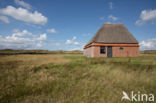 National Park Duinen van Texel 