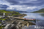 ferry boat