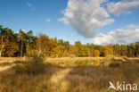 Cross-border park Maas-Swalm-Nette