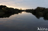 Amsterdamse waterleidingduinen