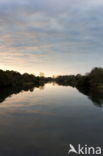 Amsterdamse waterleidingduinen