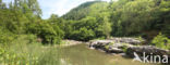 Cévennes National Park