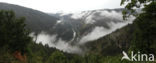 Parc national des Cévennes