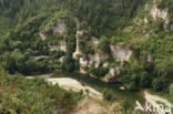 Château de Castelbouc