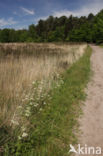 National Park Cross-border park De Zoom